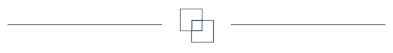 Section Separator Image