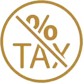 Plan For A Tax-Free Future Icon