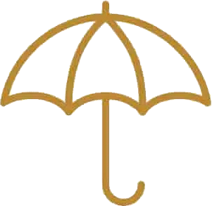 Insurance Plan Icon