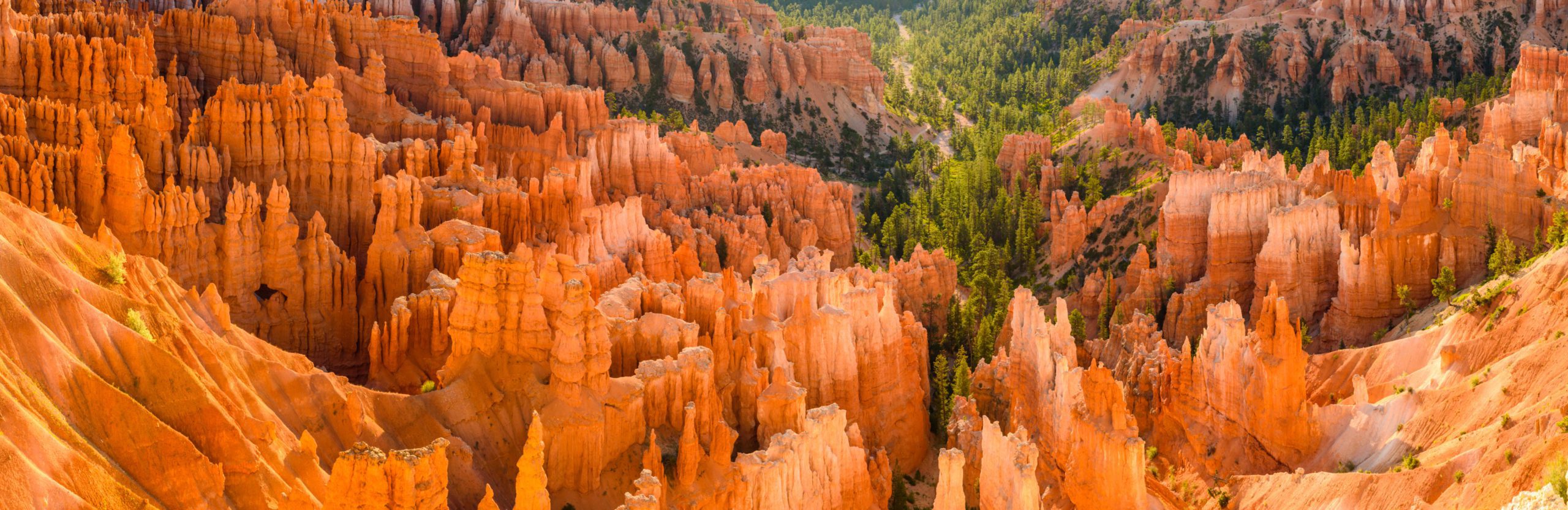 Canyon Background